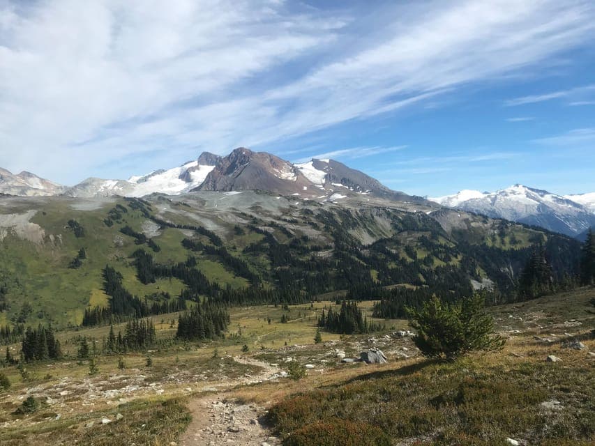 Whistler: Alpine Hiking Tour with Gondola Ride Gallery Image 3