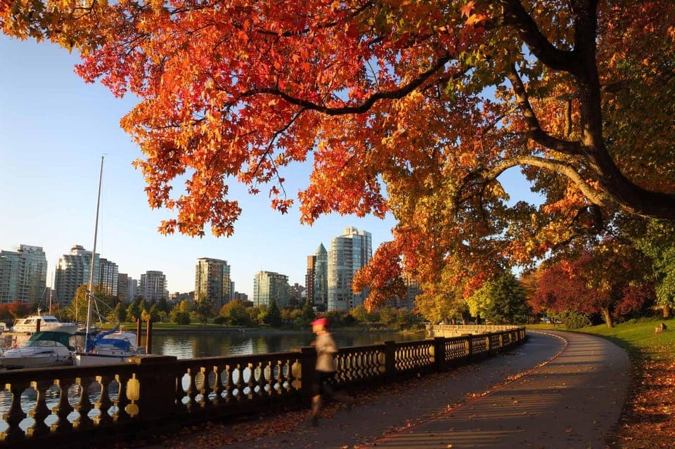 From Seattle - Full Day Private Tour of Vancouver BC ,Canada Gallery Image 4