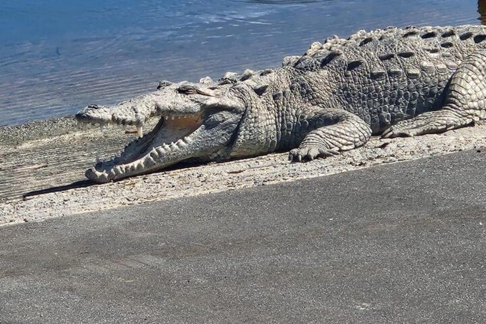 Everglades National Park Hiking and Kayaking Day Trip Gallery Image 3