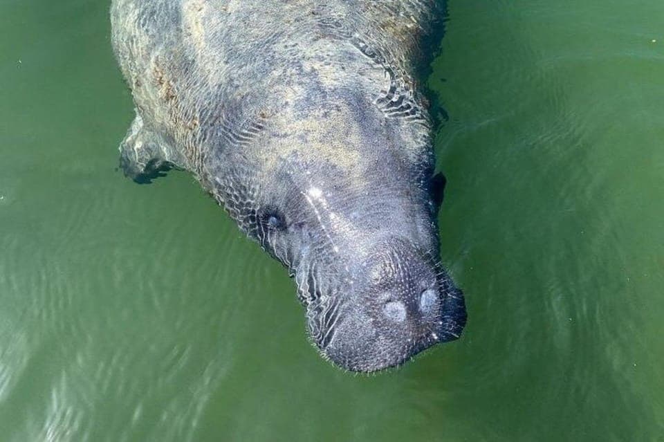 Everglades National Park Hiking and Kayaking Day Trip Gallery Image 2