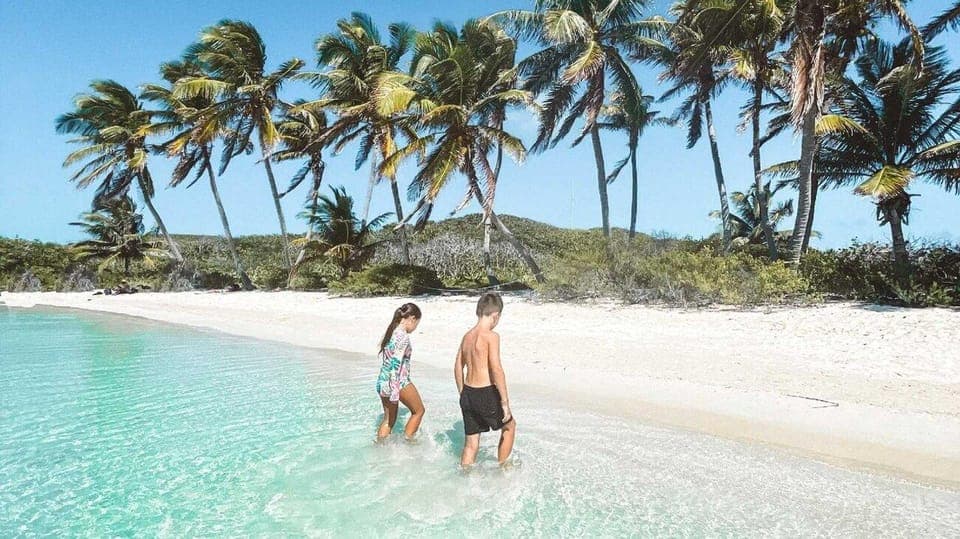 Riviera Maya: Isla Contoy and Isla Mujeres Full-Day Tour Gallery Image 2