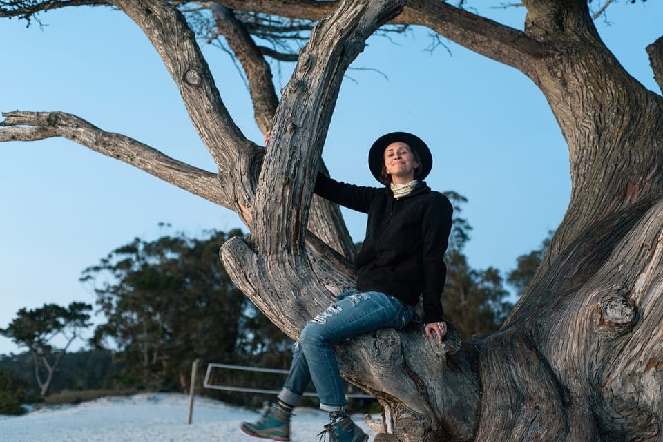 Monterey, Carmel, 17 Mile Dr, Big Sur & Mcway Falls Pvt Tour Gallery Image 4