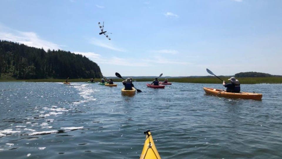 2. Day Trip from Boston: Guided Kayak at the Crane Estate - Image 2
