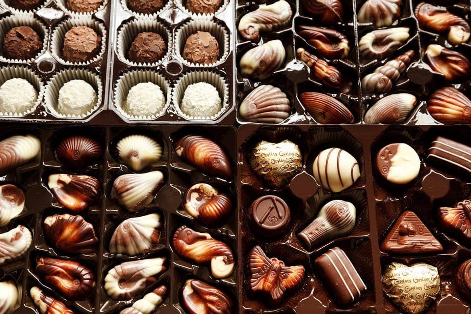 Fall Holiday Chocolate Salon & Festival Gallery Image 2