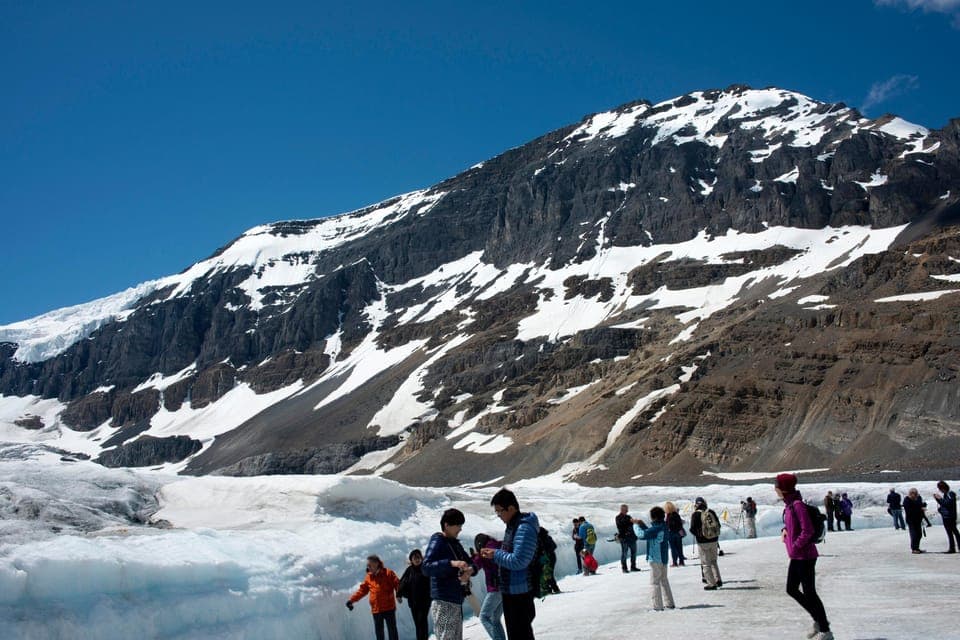 Majestic Icefield Private Day Tour from Calgary Gallery Image 3