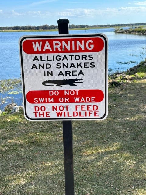 Kissimmee: Explore Lakefront Adventure on Electric Trike Gallery Image 3