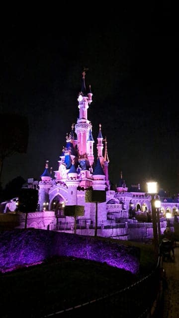 Disneyworld and Universal Studios Personal Planner Gallery Image 2