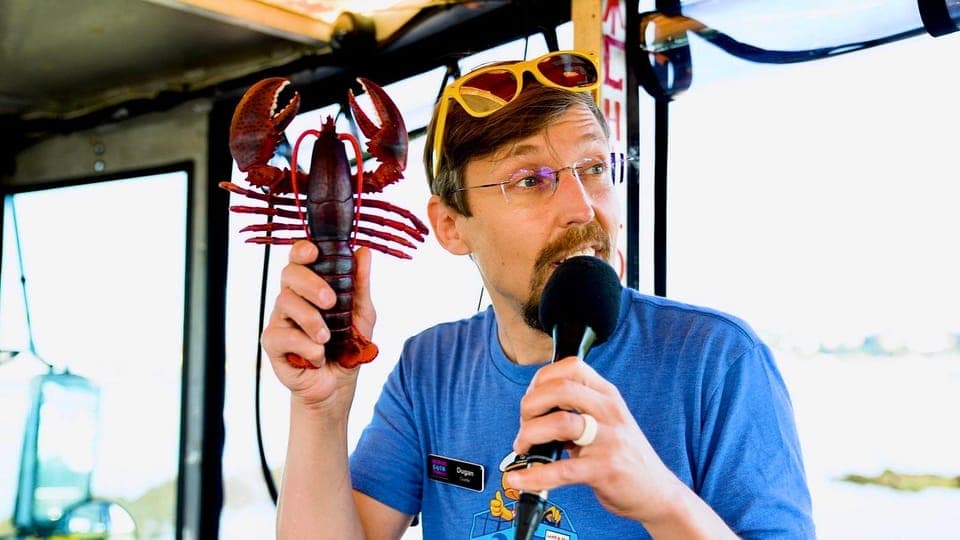 Land and Sea Tour Duck Tour with a Guide Gallery Image 3