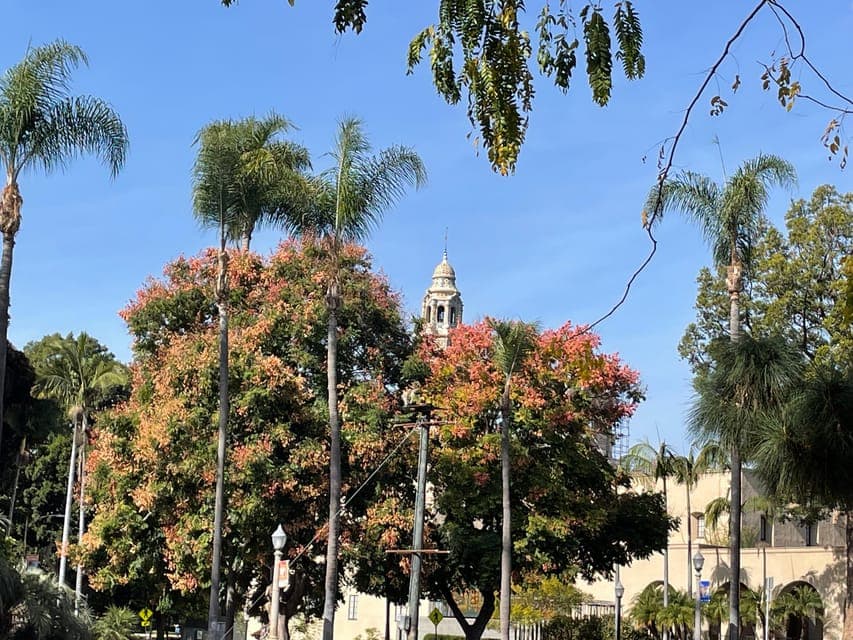 5 1/2 Hour Private Tour of San Diego in a Lexus ES300H Gallery Image 2