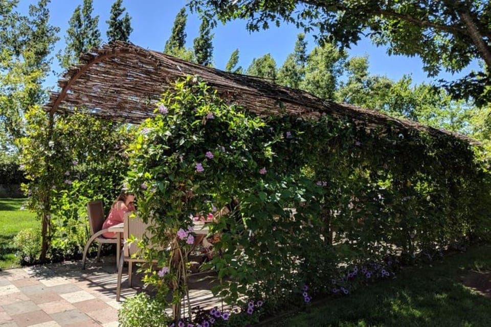 Napa and Sonoma Valley Private Wine Tour Gallery Image 3