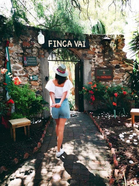 Wine, Cheese and Art Gastronomic Route through Queretaro Gallery Image 4