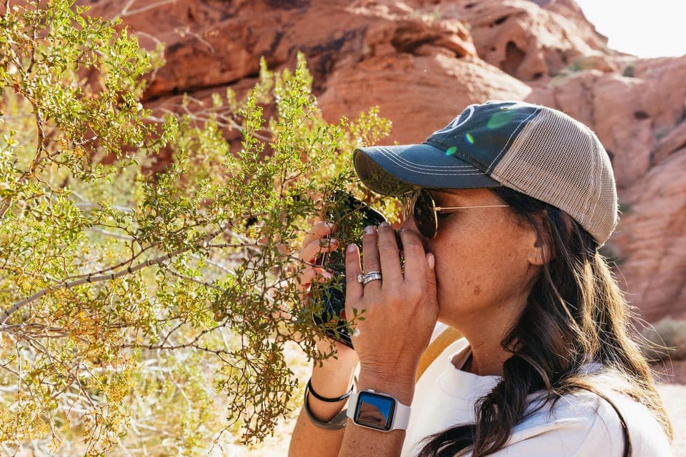 Valley of Fire Guided Hike with Drinks and Snacks Gallery Image 4