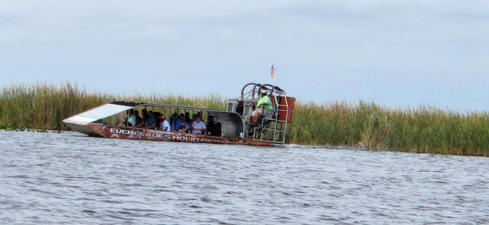 Everglades Airboat, Gator Encounter & Bus Transfer Gallery Image 3