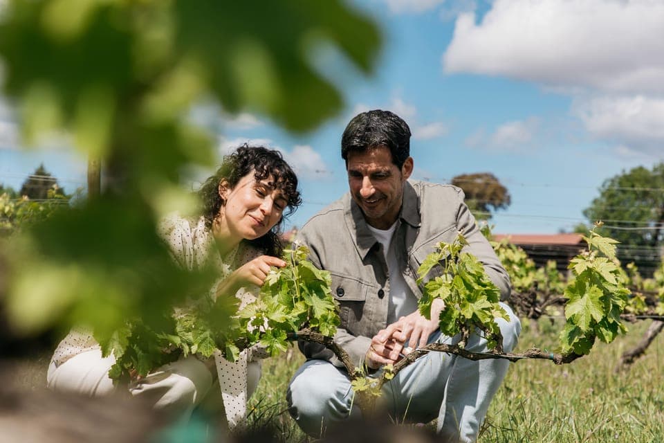 Familia Torres Winery: Gastronomic Tapas & Wine Experience Gallery Image 2