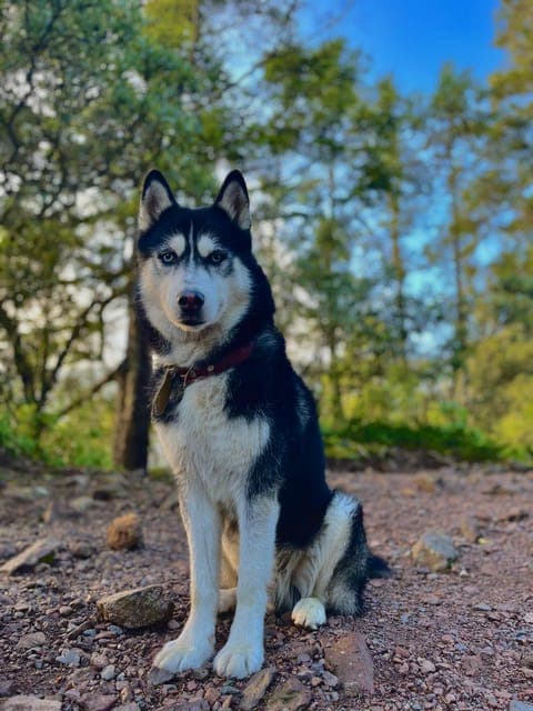 Sunrise on the heights: Pico del Águila. Mexico City. Gallery Image 4