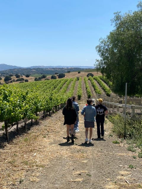 Wine Country Tour with Lunch Gallery Image 2