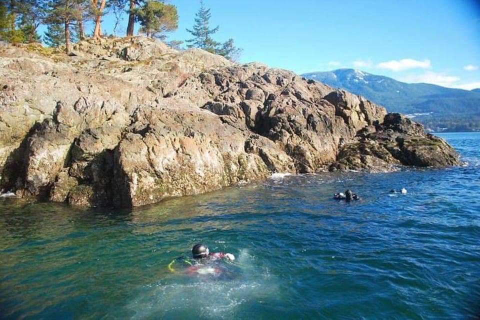 20. Boat Dive for Certified Diver, Tank & Weight Incl - Image 20