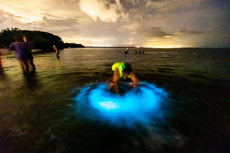 Bioluminescence Clear Kayaking or Paddleboarding Gallery Image 3
