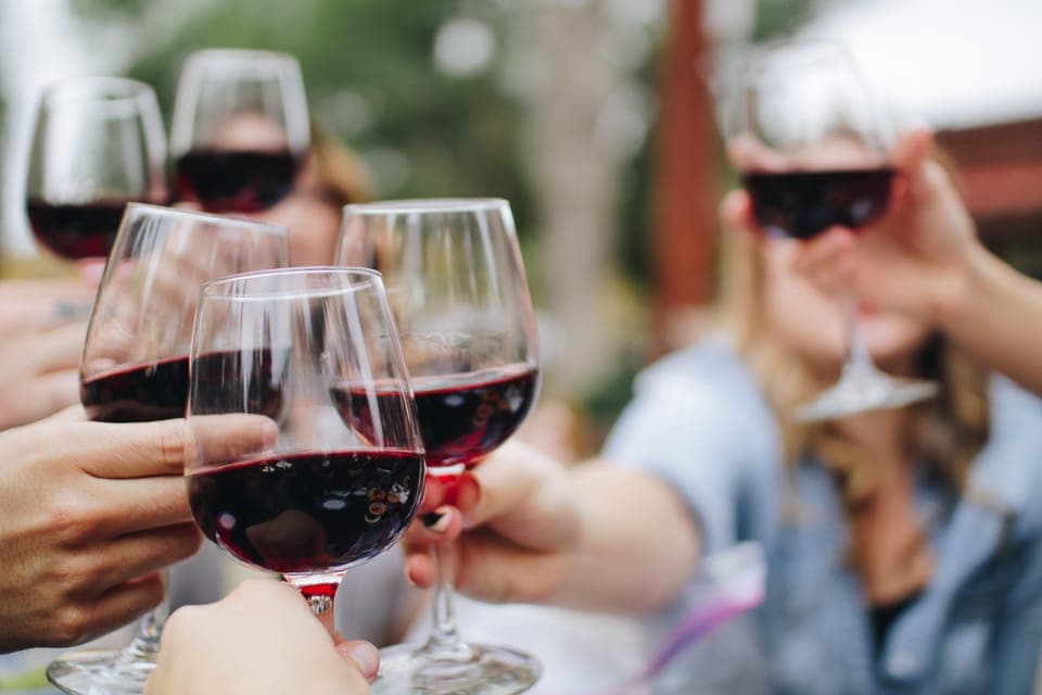 Private Sunset Wine Tour with Dinner - Niagara On The Lake Gallery Image 3