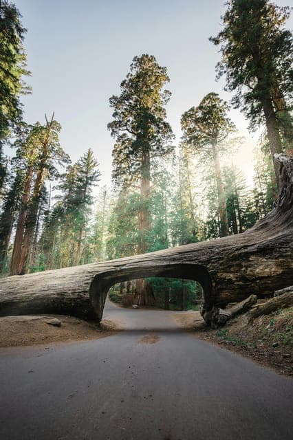 2-Day Tour to Los Angeles with Parks - Image 8