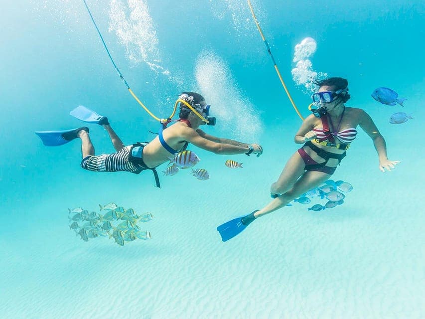 From Cancun: Xcaret Park All-Inclusive Gallery Image 2