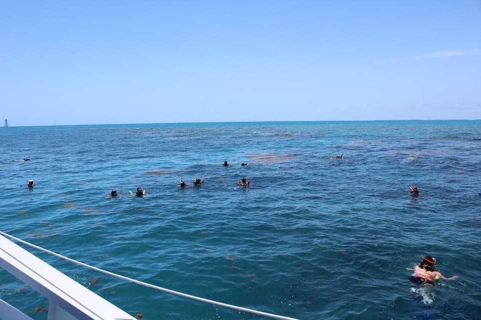 Key West Tour and Coral Reef Snorkeling with Open Bar Gallery Image 4