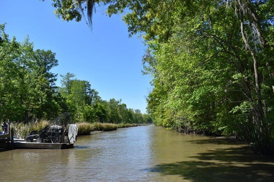 Oak Alley Plantation Tour and Airboat Tour Gallery Image 3