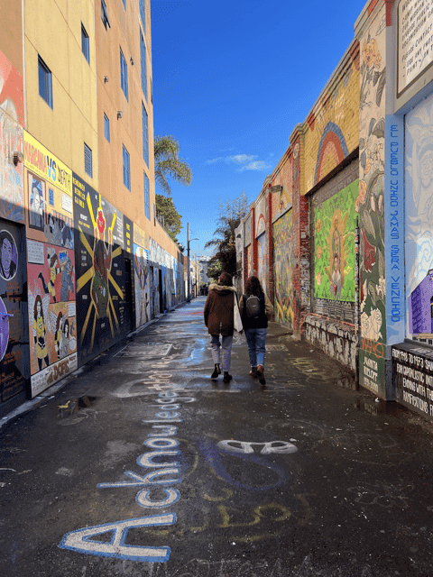 Mission and Castro districts tour in French - Image 7