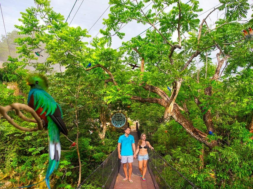 From Playa del Carmen: Xcaret Plus Park, the complete experience Gallery Image 2