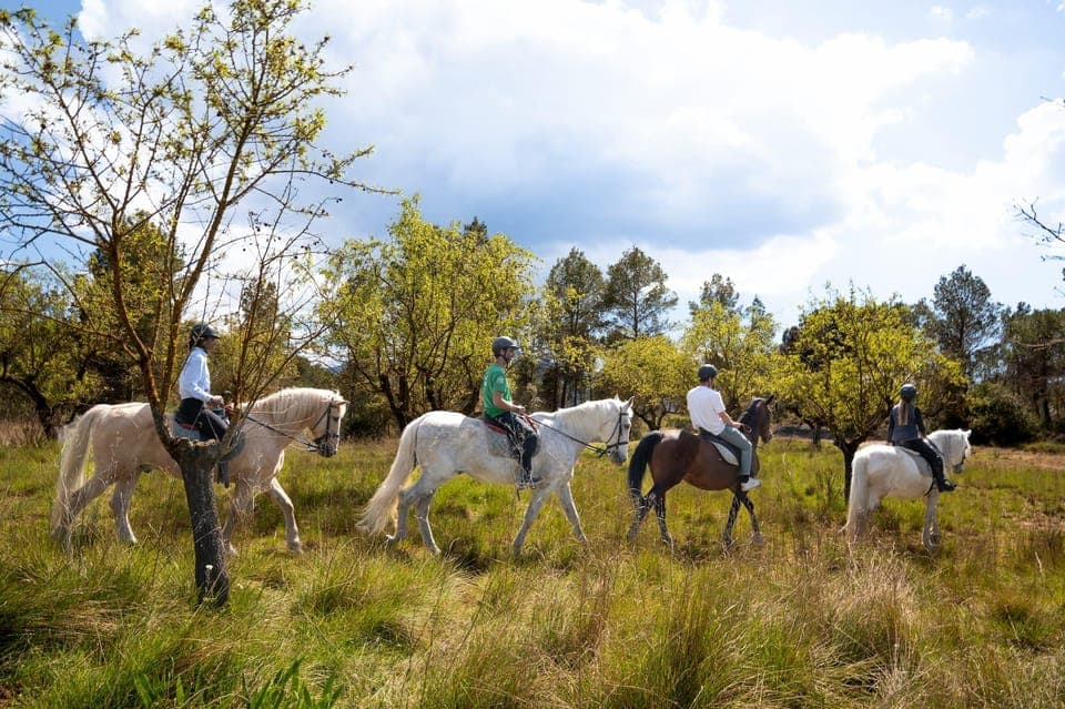 Montserrat Walking and Horseback Riding Tour Gallery Image 3