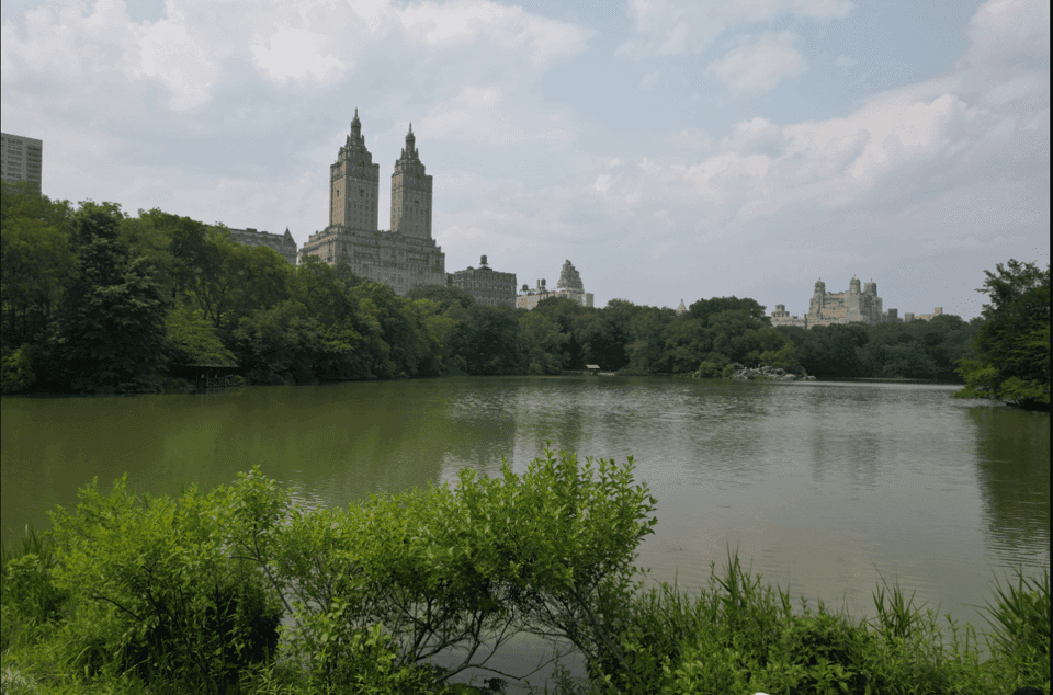 Official VIP Whole Central Park Horse Carriage Tour Gallery Image 2