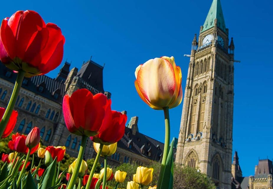 Private Ottawa Full Day Tour Gallery Image 4