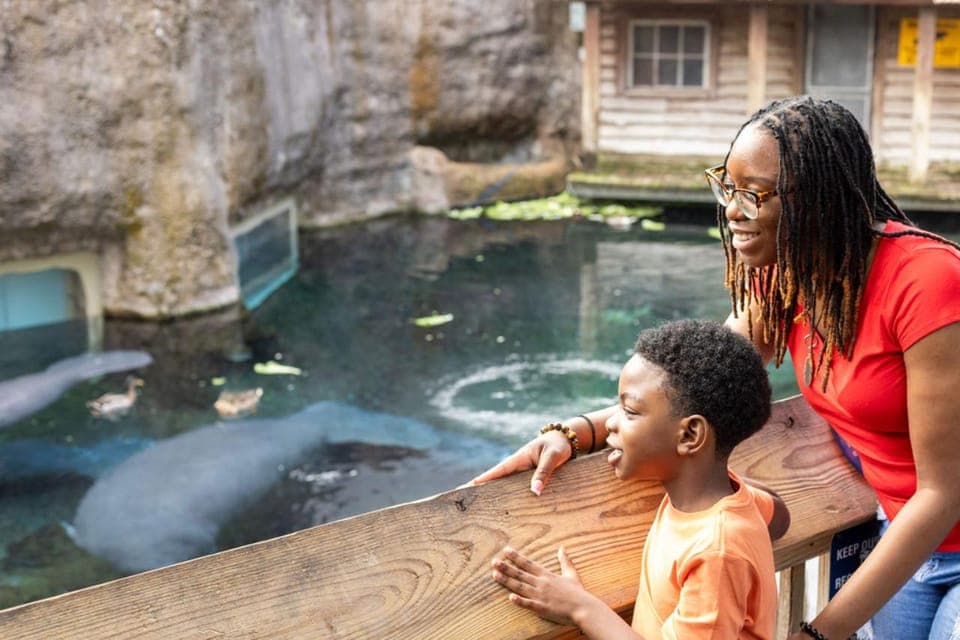 ZooTampa at Lowry Park Ticket with After Hours Option Gallery Image 2