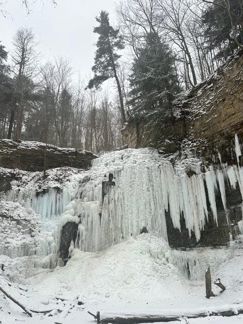 From Toronto: Niagara Falls Day Trip & Wine Tasting Gallery Image 4