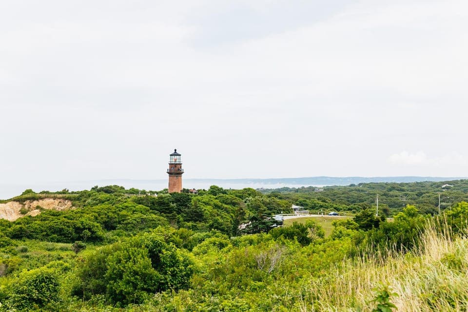 Martha's Vineyard Day Trip with Optional Island Tour Gallery Image 2