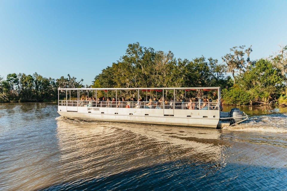 16. Guided Swamp Cruise by Tour Boat - Image 16