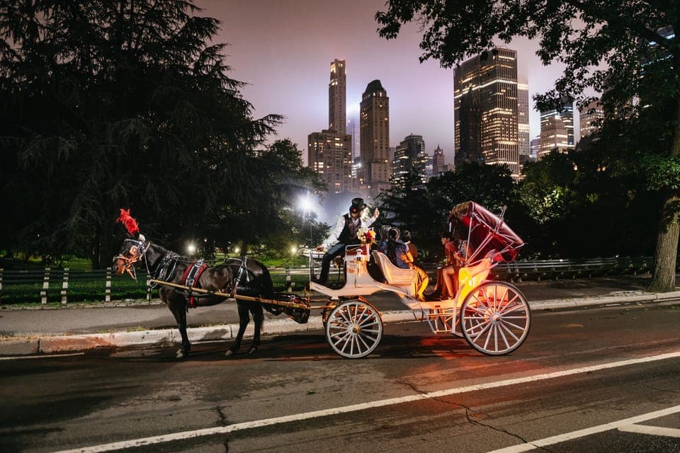 Central Park, Rockefeller & Times Carriage Ride (4 Adults) - Image 1