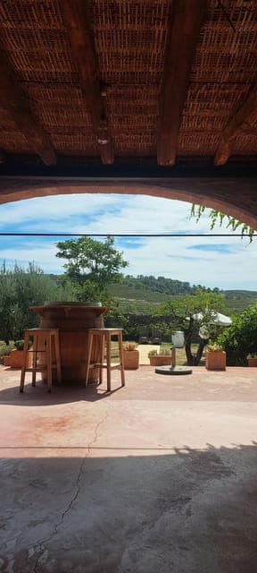 Penedès Vineyard Horseback Ride with Wine Tasting Gallery Image 3