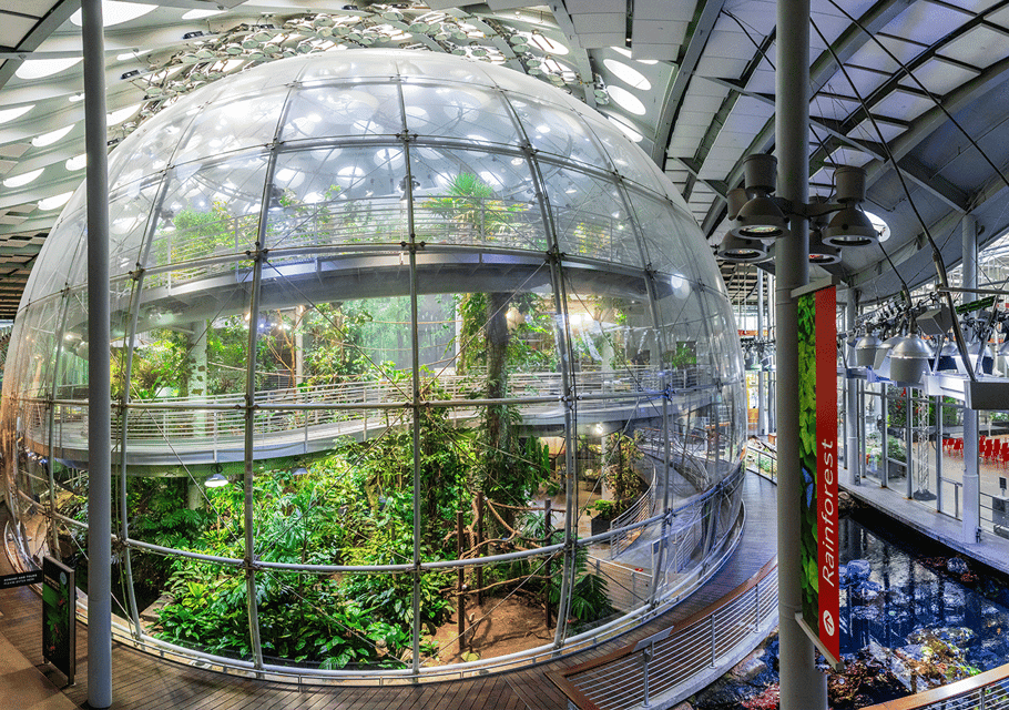 SF: CA Academy of Sciences & Hop-on Hop-off Tour (Save 15%) Gallery Image 1