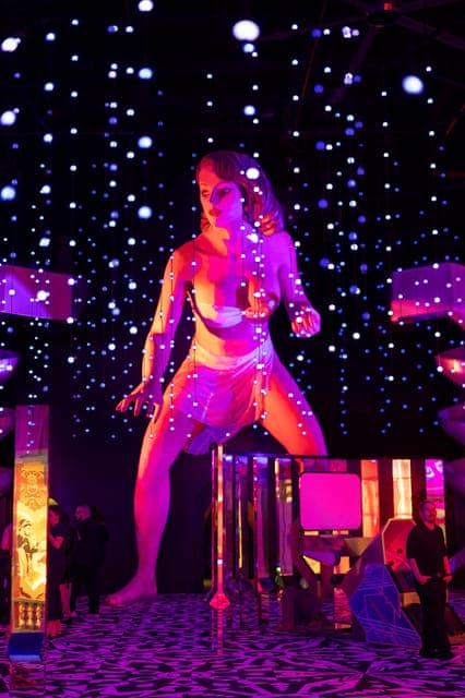 13. Museum of Sex Entry Ticket - Image 13