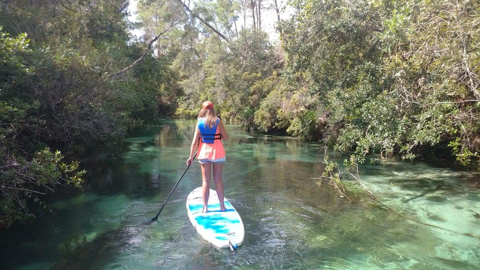 Biscayne Bay Ultimate Boat Tour with Kayak Experience Gallery Image 3