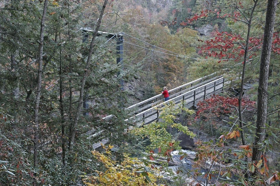 Tullulah Falls Slingshot Self Guided Tour Gallery Image 3