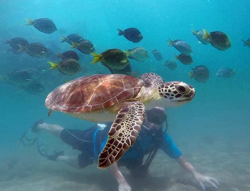 West Palm Beach: Beginner Scuba Diving Adventure with Videos - Image 1