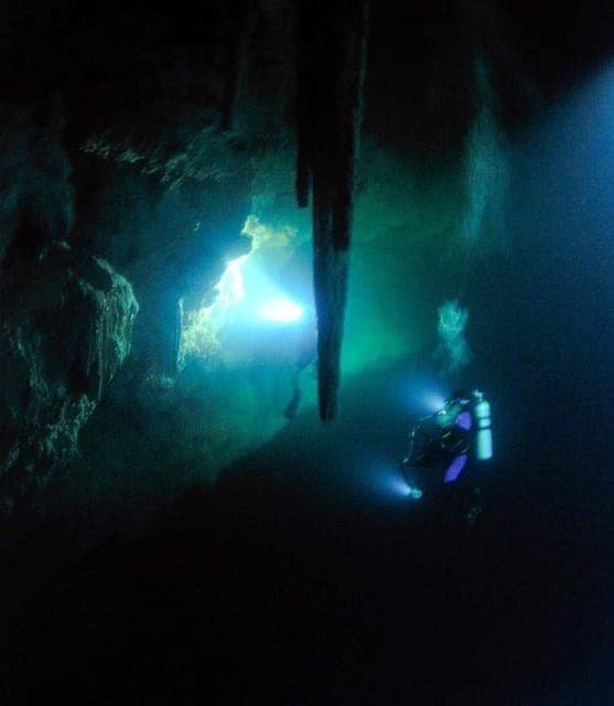 From Cancun: Fast Boat Cozumel Diving Experience Gallery Image 4