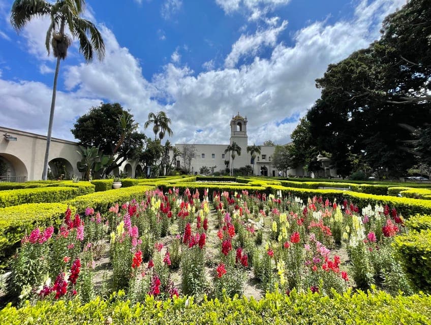 5 1/2 Hour Private Tour of San Diego in a Lexus ES300H Gallery Image 3
