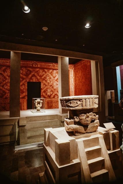 Guided Tour Mexico City:Anthropology Museum, Historic Center - Image 1