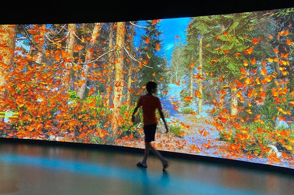 Audubon Aquarium & Insectarium Ticket Gallery Image 2