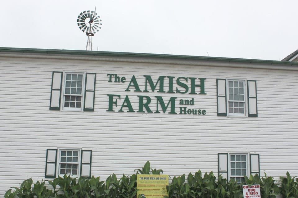 Amish Farm and House 1-Day Tour From Washington D.C. Gallery Image 2