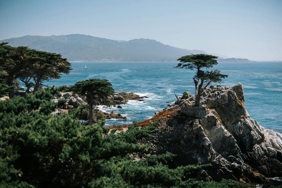 4-Day VIP Tour with Coast Starlight Train Gallery Image 2