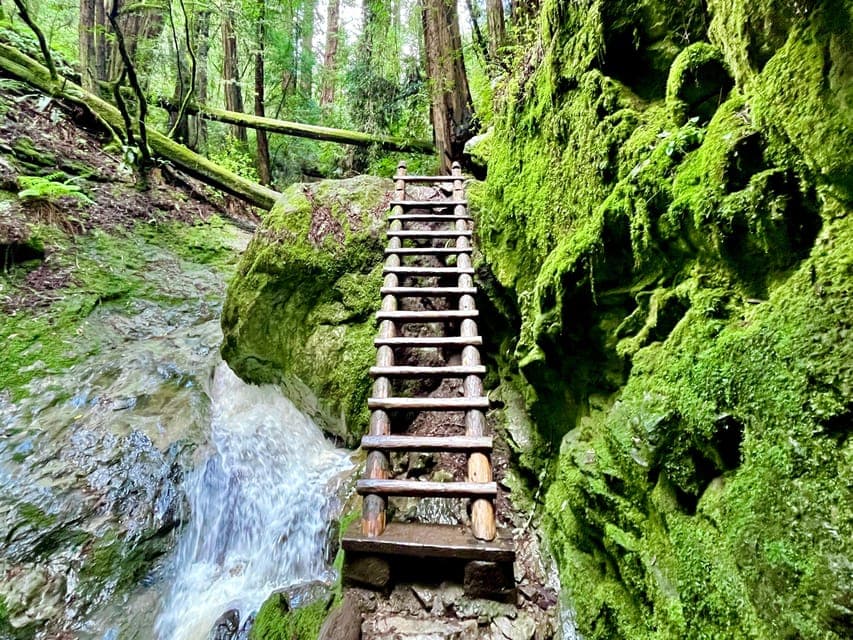 CUSTOM PHOTO ADVENTURES TO THE BAY AREA'S MOST EPIC SCENERY Gallery Image 4